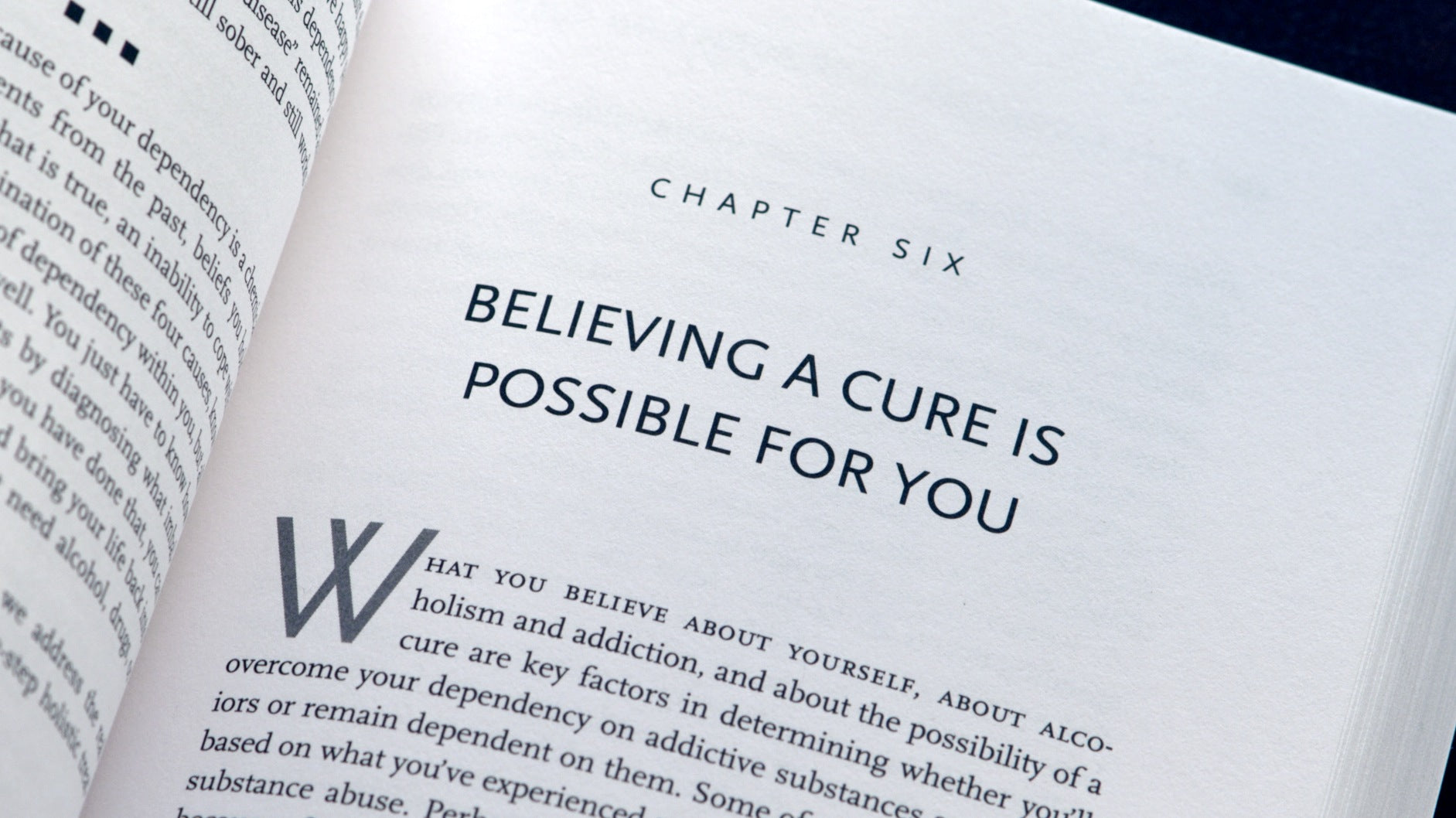 Addition Cute The Alcoholism & Addiction Cure (Hardcover) – Passages Wellness Store
